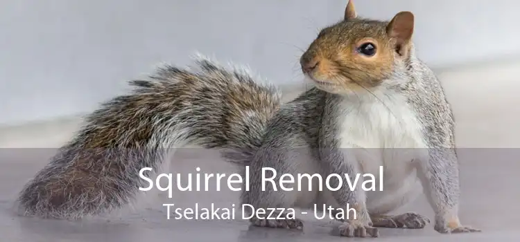 Squirrel Removal Tselakai Dezza - Utah