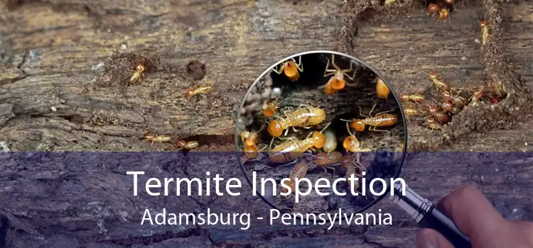 Termite Inspection Adamsburg - Pennsylvania