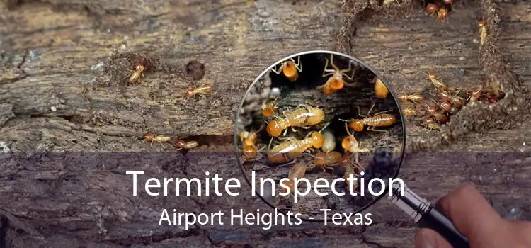 Termite Inspection Airport Heights - Texas