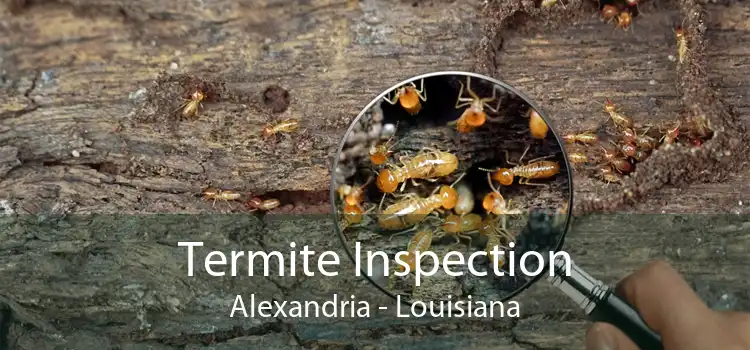 Termite Inspection Alexandria - Louisiana