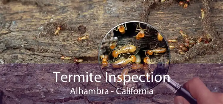Termite Inspection Alhambra - California