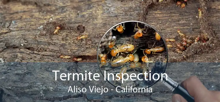 Termite Inspection Aliso Viejo - California