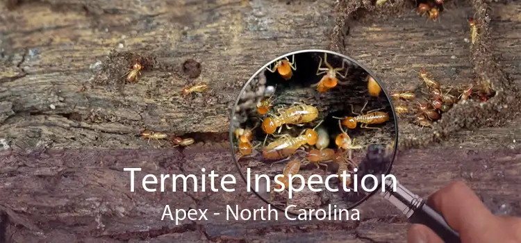 Termite Inspection Apex - North Carolina