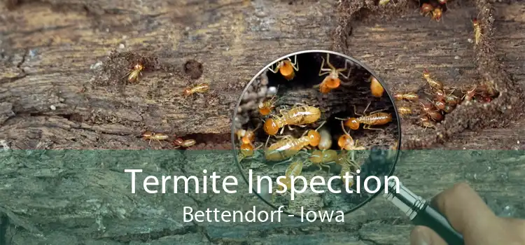 Termite Inspection Bettendorf - Iowa