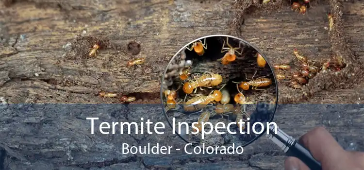 Termite Inspection Boulder - Colorado