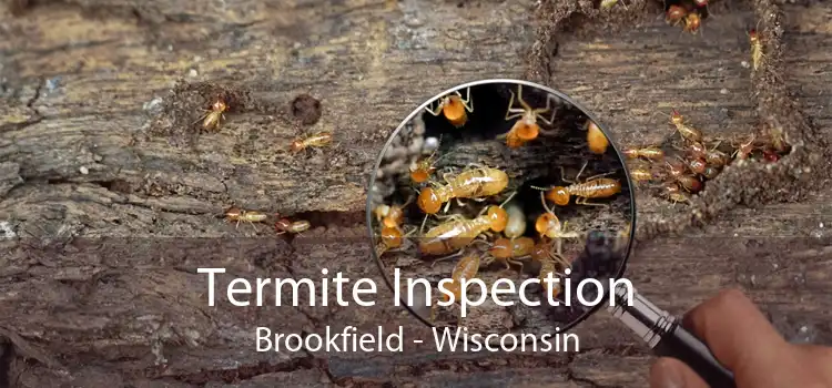 Termite Inspection Brookfield - Wisconsin