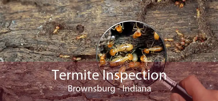 Termite Inspection Brownsburg - Indiana