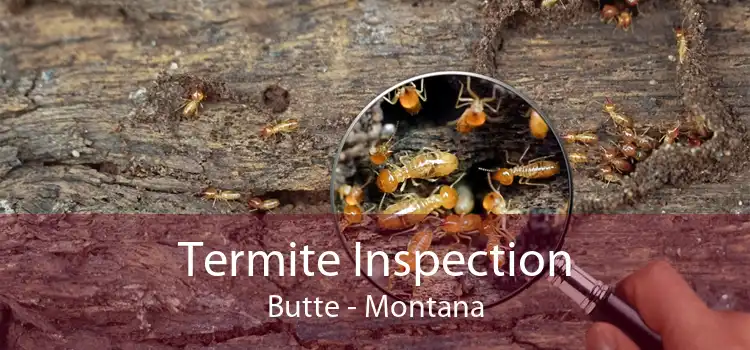 Termite Inspection Butte - Montana
