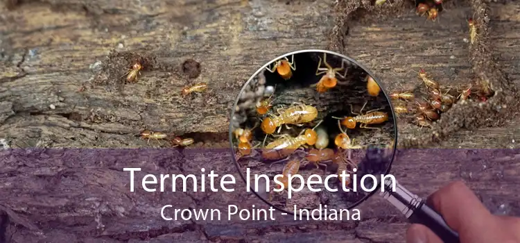 Termite Inspection Crown Point - Indiana