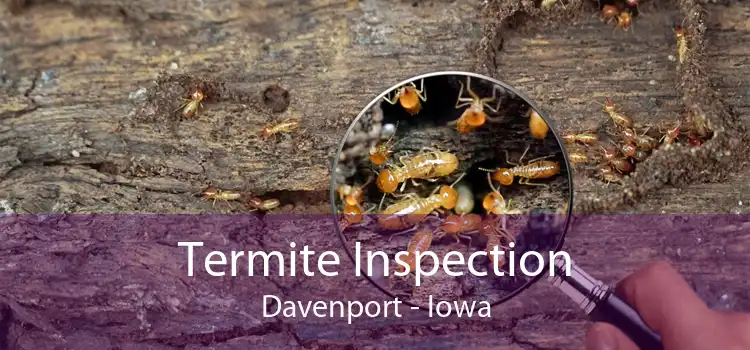 Termite Inspection Davenport - Iowa