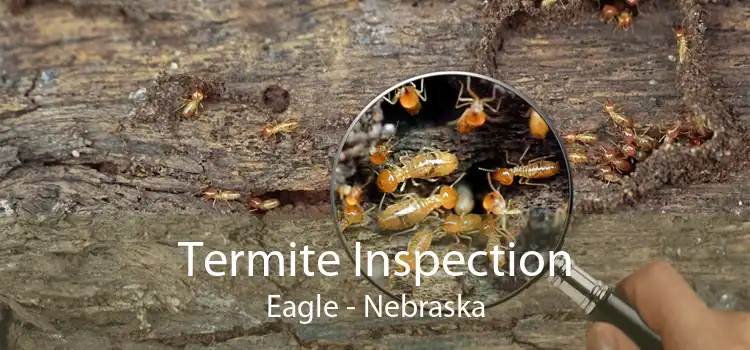 Termite Inspection Eagle - Nebraska