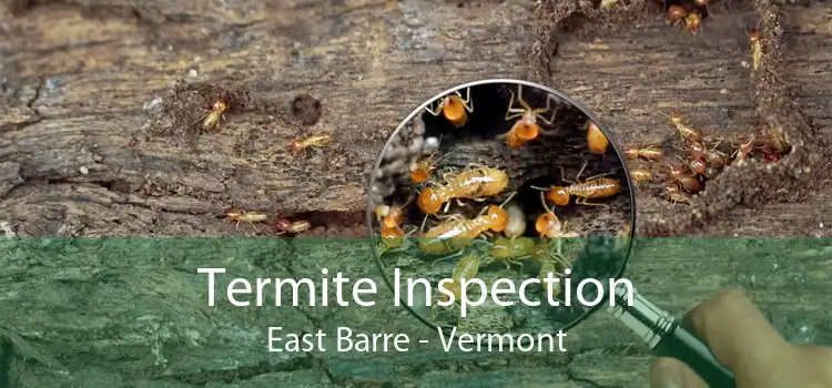 Termite Inspection East Barre - Vermont