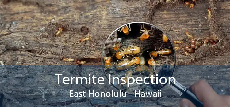 Termite Inspection East Honolulu - Hawaii