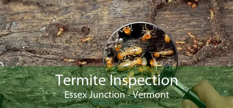 Termite Inspection Essex Junction - Vermont