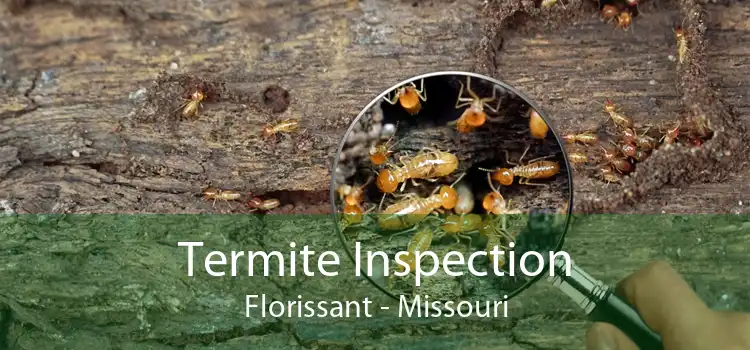 Termite Inspection Florissant - Missouri