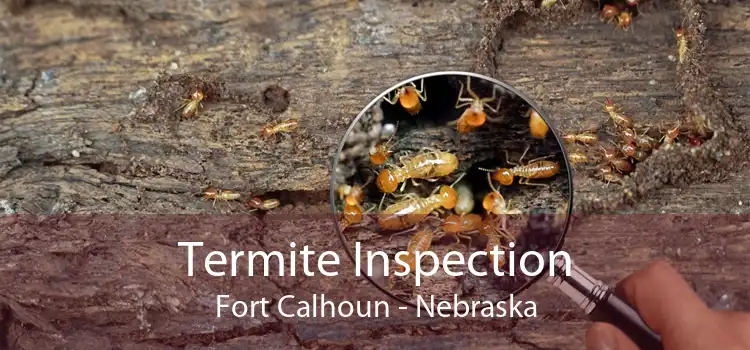 Termite Inspection Fort Calhoun - Nebraska