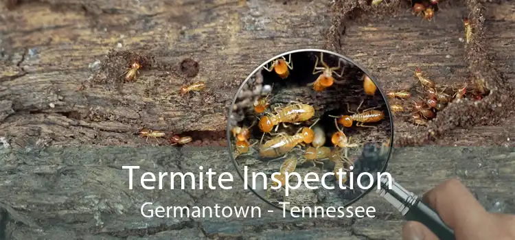 Termite Inspection Germantown - Tennessee