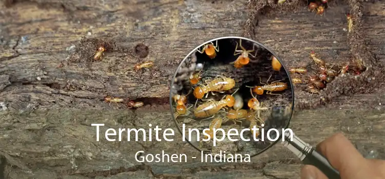 Termite Inspection Goshen - Indiana