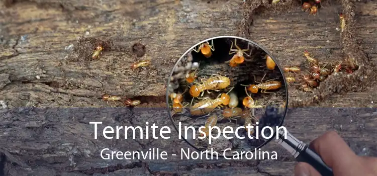 Termite Inspection Greenville - North Carolina