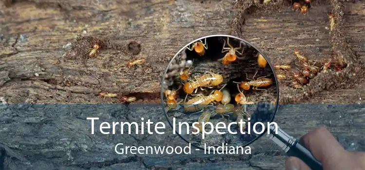 Termite Inspection Greenwood - Indiana