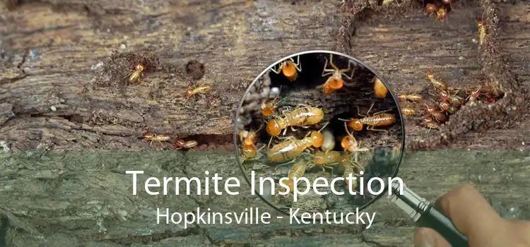 Termite Inspection Hopkinsville - Kentucky