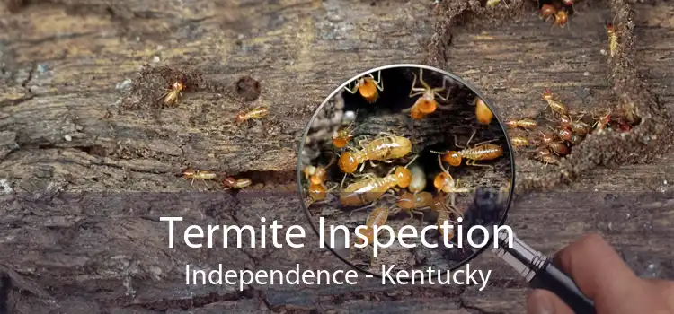 Termite Inspection Independence - Kentucky