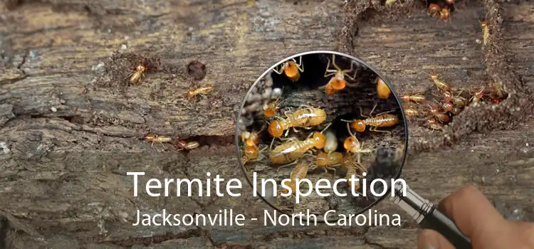 Termite Inspection Jacksonville - North Carolina