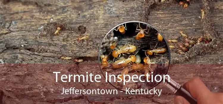 Termite Inspection Jeffersontown - Kentucky