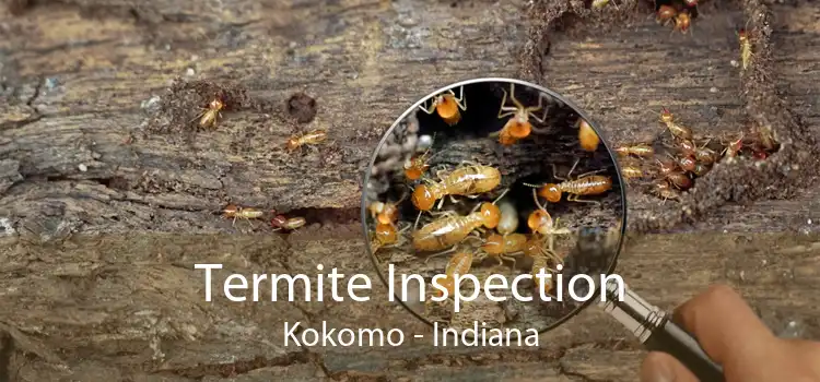 Termite Inspection Kokomo - Indiana