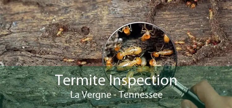 Termite Inspection La Vergne - Tennessee