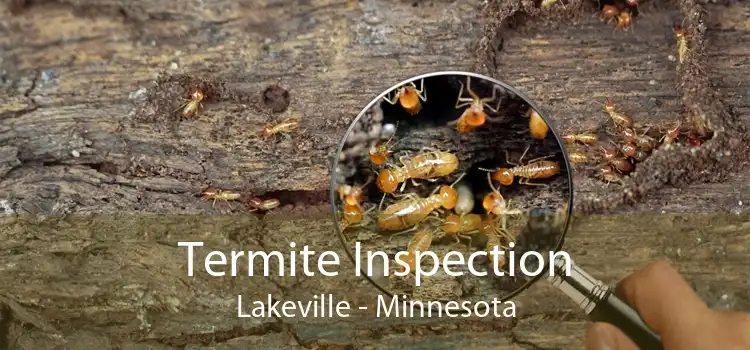 Termite Inspection Lakeville - Minnesota