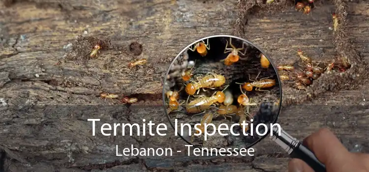 Termite Inspection Lebanon - Tennessee