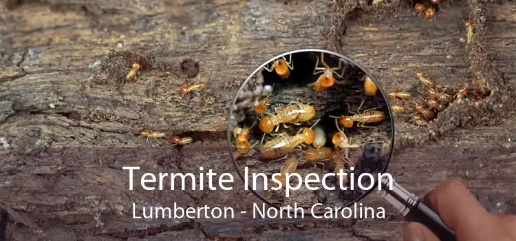 Termite Inspection Lumberton - North Carolina