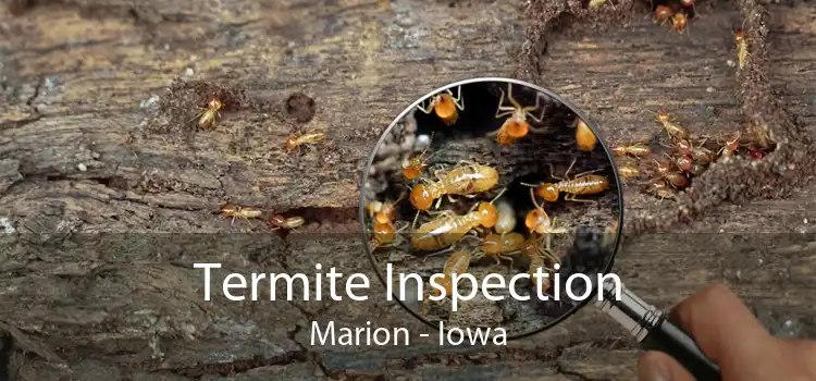 Termite Inspection Marion - Iowa