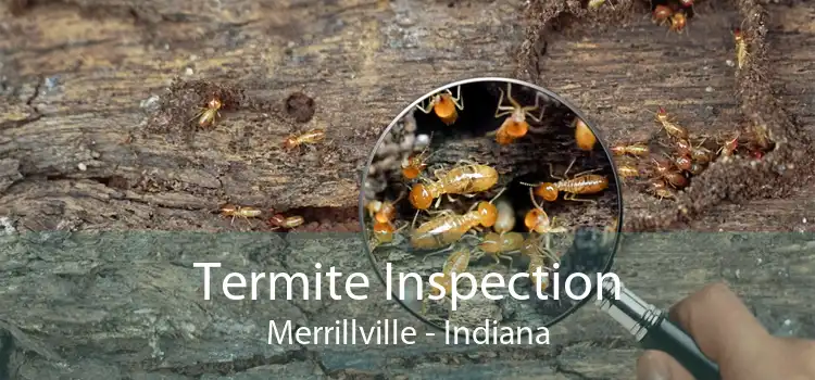 Termite Inspection Merrillville - Indiana
