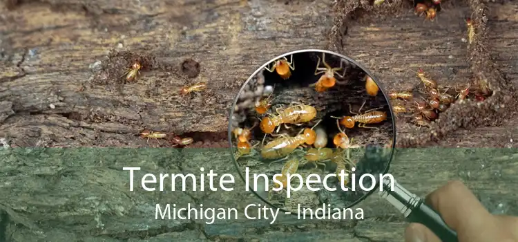 Termite Inspection Michigan City - Indiana