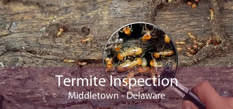 Termite Inspection Middletown - Delaware