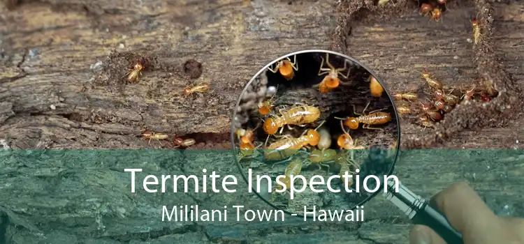Termite Inspection Mililani Town - Hawaii