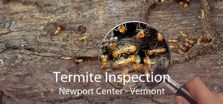 Termite Inspection Newport Center - Vermont