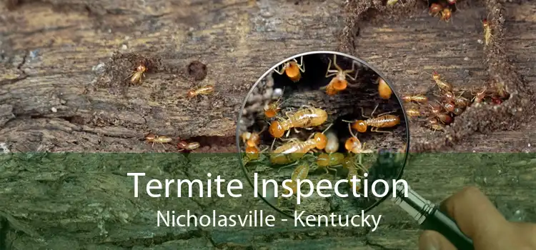 Termite Inspection Nicholasville - Kentucky