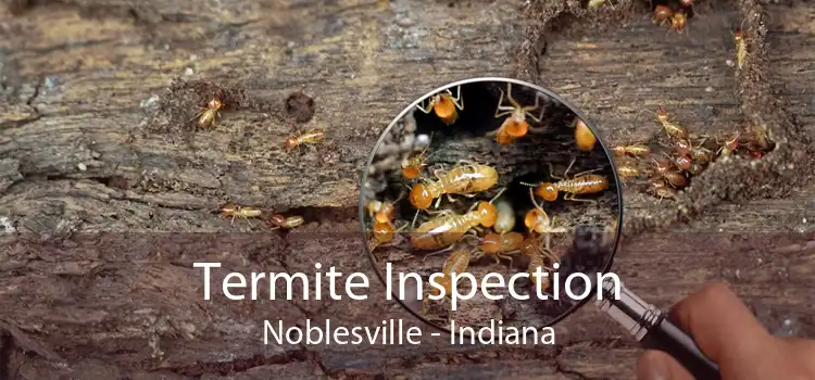 Termite Inspection Noblesville - Indiana
