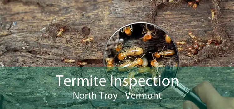 Termite Inspection North Troy - Vermont