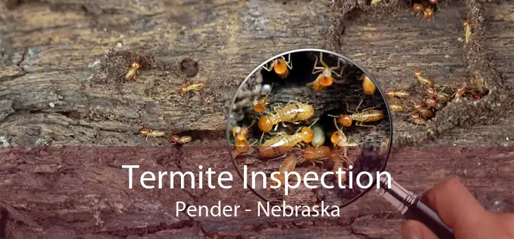Termite Inspection Pender - Nebraska