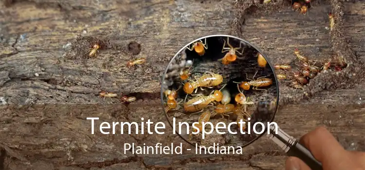 Termite Inspection Plainfield - Indiana