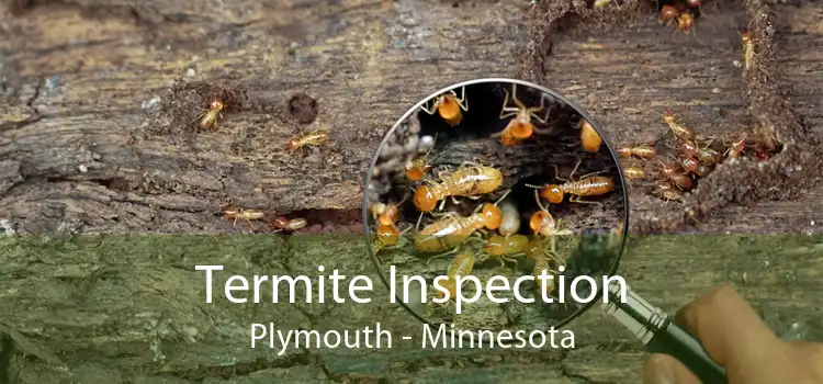 Termite Inspection Plymouth - Minnesota
