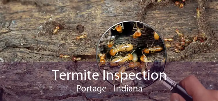 Termite Inspection Portage - Indiana