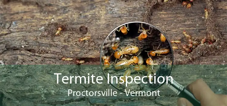 Termite Inspection Proctorsville - Vermont