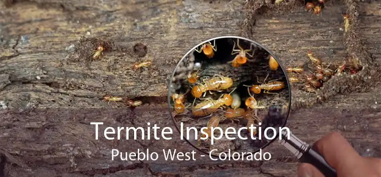 Termite Inspection Pueblo West - Colorado