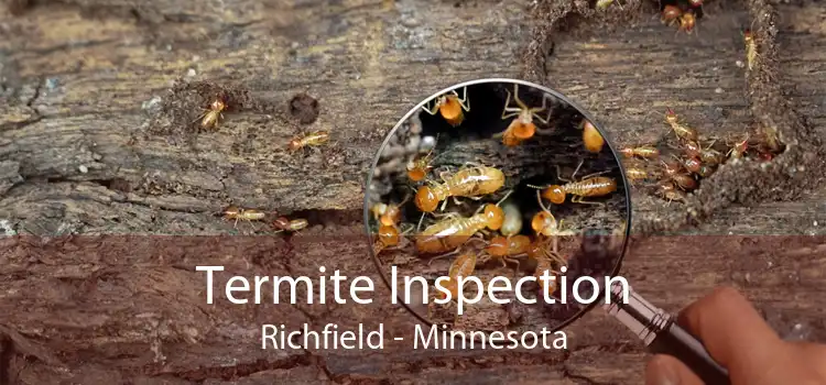 Termite Inspection Richfield - Minnesota