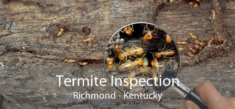Termite Inspection Richmond - Kentucky